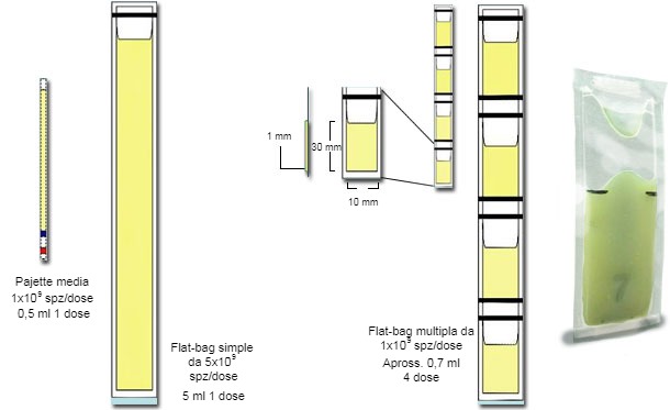 Rappresentazione schematica delle principali differenze tra le mini-paiette in plastica &nbsp;da 0,25 ml, con Flat-bags semplici (5 ml) e multiple &nbsp;(da 0,5-0,7 ml)
